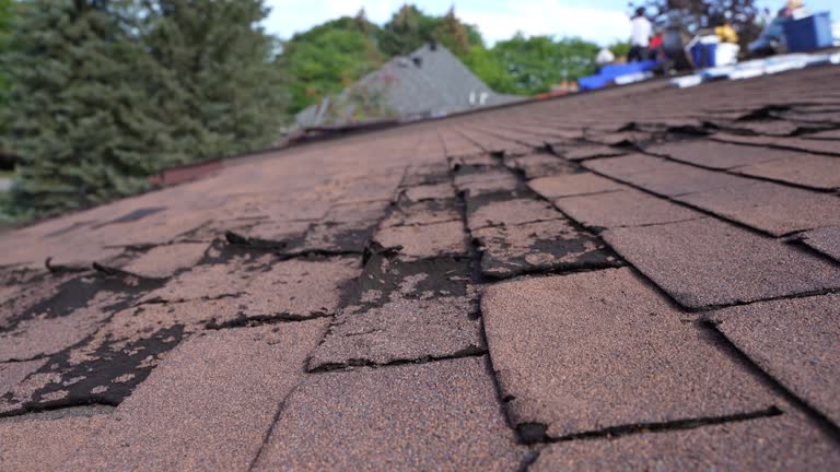 Best Rubber Roofing (EPDM, TPO)  in Lagrange, OH